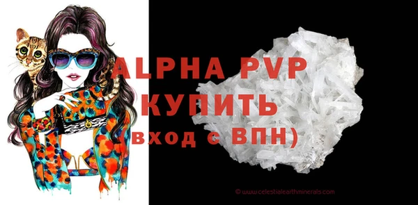 стаф Алексин