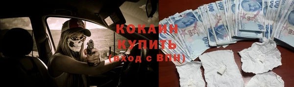 прущие грибы Ачинск