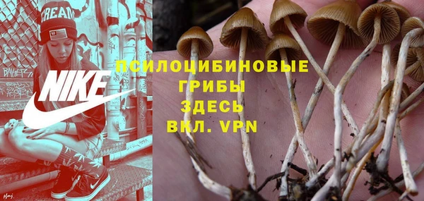 spice Абинск