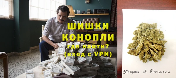 ГАЛЛЮЦИНОГЕННЫЕ ГРИБЫ Алагир